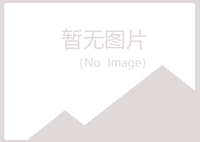 合浦县夏岚建设有限公司